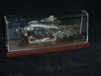 Decorative Fish Painted With Chrome Paint